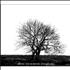 Mr David Viner Among The Rumours And The Rye CD album UK MVRCDAM446979