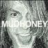 Mudhoney You're Gone 7