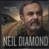 Neil Diamond Melody Road 2-LP vinyl set UK NDI2LME614679