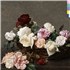 New Order Power, Corruption & Lies - Black Vinyl - Sealed vinyl LP UK