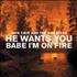 Nick Cave He Wants You/Babe I'm On Fire 10