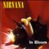 Nirvana (US) In Bloom 7