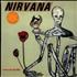 Nirvana (US) Incesticide - 200gm - Numbered 2-LP vinyl set US NIR2LIN688992
