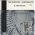 Nurse With Wound Necropolis, Amphibians & Reptiles - The Music Of Adolf Wlfli vinyl LP UNITED KINGDOM NWWLPNE879827