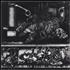 Nurse With Wound To The Quiet Men From A Tiny Girl - Yellow Vinyl + Sealed vinyl LP UK NWWLPTO785917