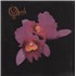Opeth Orchid - 1st LP UNITED KINGDOM OEP2LOR881833
