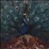 Opeth Sorceress - Double Picture Disc picture disc LP US OEPPDSO664867