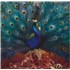 Opeth Sorceress - Double Picture Disc picture disc LP US OEPPDSO813994