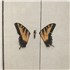 Paramore Brand New Eyes - Sealed vinyl LP UK OR8LPBR858824