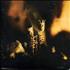 Pearl Jam Riot Act CD album Colombian PJACDRI282182