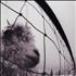 Pearl Jam Vs vinyl LP US PJALPVS553753