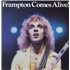 Peter Frampton Frampton Comes Alive! 2-LP vinyl set Canadian PFR2LFR807823