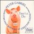 Peter Gabriel That'll Do CD single US GABC5TH128684
