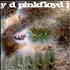 Pink Floyd A Saucerful Of Secrets vinyl LP French PINLPAS239282