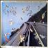 Pink Floyd All Roads Lead to Knebworth 1975 - Signed poster UK PINPOAL644447