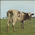 Pink Floyd Atom Heart Mother - Blue Vinyl vinyl LP French PINLPAT120672