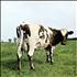 Pink Floyd Atom Heart Mother - Fully Autographed vinyl LP UK PINLPAT549796