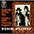 Pink Floyd Point Me To The Sky 7