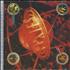 Pixies Bossanova super audio CD US PIXSABO452450