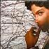 Prince Musicology CD album Indonesian PRICDMU296214