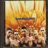 Rammstein Herzleid CD album German RMMCDHE132532