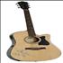 Robert Plant Ibanez Electric Acoustic Guitar - Autographed guitar UK PLAGTIB439334