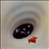 Robin Trower Long Misty Days press kit UK RTRKILO497298