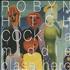 Robyn Hitchcock A Middle Class Hero book Italian RHIBKAM320212