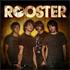 Rooster Rooster CD album UK RO1CDRO313122