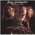 Rory Gallagher Photo-Finish LP GERMANY RORLPPH888433
