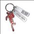 Rush Hemispheres Keychain memorabilia US RUSMMHE522316