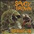 Savoy Brown Lookin In - Sealed vinyl LP US SVBLPLO356922