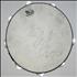 Sheryl Crow Signed Tambourine memorabilia US SCWMMSI364384