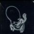 Sigur Ros Agaetis Byrjun - Autographed CD album US SIUCDAG504237