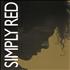 Simply Red Farewell tour programme UK REDTRFA719014