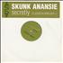 Skunk Anansie Secretly - Armand Van Helden Remix 12