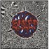 Sleep Sleep's Holy Mountain - Blue and Orange Swirl Vinyl vinyl LP UK XLELPSL866717