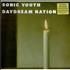 Sonic Youth Daydream Nation 4-LP vinyl set US S-Y4LDA428110