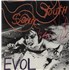 Sonic Youth Evol - EX vinyl LP UK S-YLPEV884184