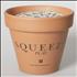 Squeeze Play - Flower Pot memorabilia US SQUMMPL46592