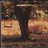 Starsailor Lullaby - 2-CD set CD/DVD single set UK SAOSDLU202840