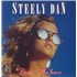 Steely Dan The Very Best Of Steely Dan - 1st 2-LP vinyl set UK S-D2LTH216895