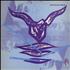 Stephen Mallinder Pow Wow - Purple sleeve 12