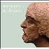 Stephen Tintin Duffy Memory & Desire - 30 Years In The Wilderness 2-CD album set UK STD2CME484959
