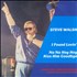 Steve Walsh I Found Lovin' 7
