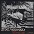 Steve Winwood Different Light CD single US WWDC5DI252285