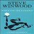 Steve Winwood While You See A Chance cassette single UK WWDCSWH550579