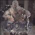 Stone Temple Pilots Vasoline CD single UK PTSC5VA160721