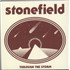 Stonefield Through the Storm - Hand-Poured Vinyl 7