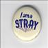 Stray Cats I Am A Stray badge UK SRYBGIA313840